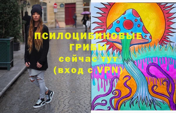 MDMA Новодвинск